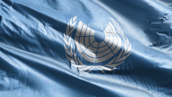 UNPA - United Nations Parliamentary Assembly textile flag slow waving on the wind loop alt