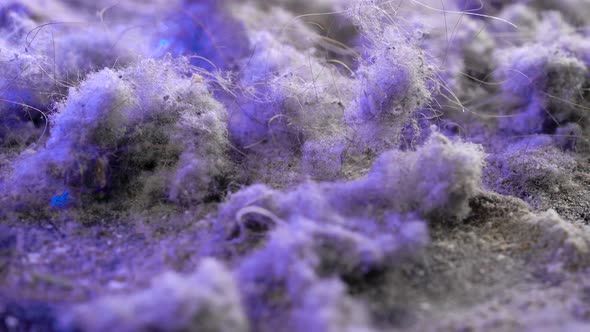 Garbage and Dust From Vacuum Cleaner After Cleaning in Home Macro Shot alt