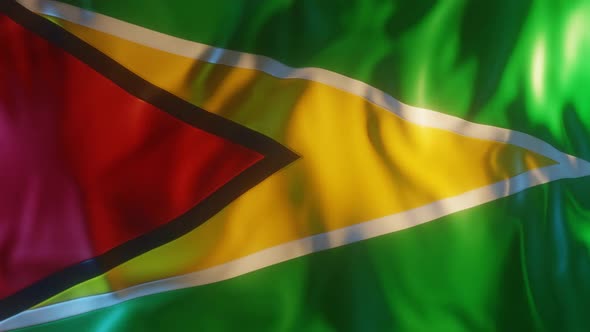 Guyana Flag with Edge Bump