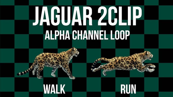 Jaguar 2clip Loop