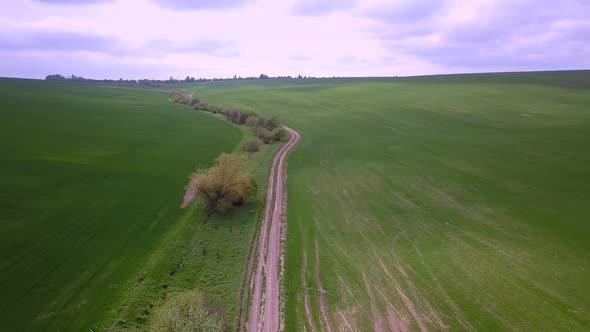 Aerial view of green agriculture field in summer or spring. alt