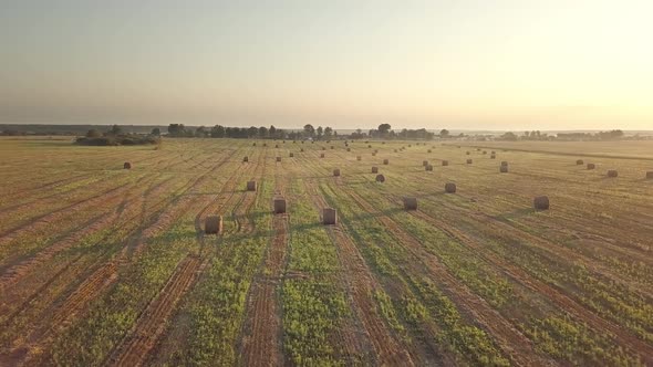 Harvesting, Flying Over The Cleared Field. Aerial shot, Combine Harvested Fields With Baling Hay. alt