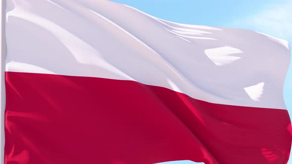 Poland Flag Looping Background