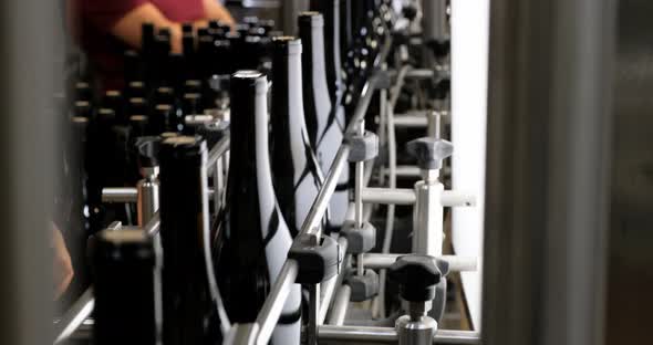 Conveyor with Bottles