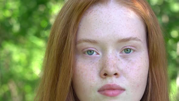 Face of a Young Woman with Red Hair and Freckles on a Background of Green Foliage alt