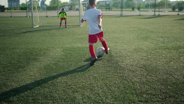 Young Boy Goalkeeper Resists Friend Attack on Field alt