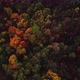 Deforestation. Forest logging, global warming disaster. - VideoHive Item for Sale