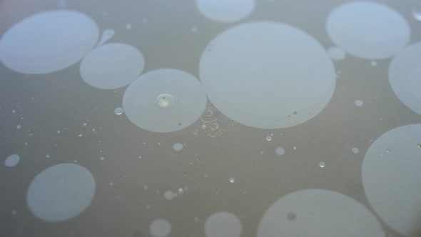 Rotation Of Oil Spots In Water