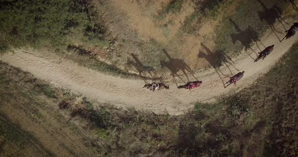 horseback riding in the countryside