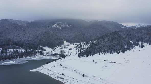 Mountain Pine Forest Trees Covered With Snow - Drone Shot, Forward alt