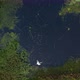 Ducks on a wild lake, view from a drone. Wetlands, wilderness. Heron flies - VideoHive Item for Sale