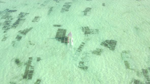 Boats in the Ocean Near the Coast of Zanzibar Tanzania Slow Motion alt