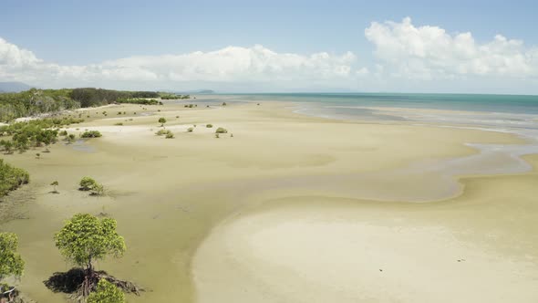 Aerial, Low Tide And Huge Sand Ocean Bed And Mangroves Growing In Queensland Australia