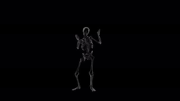 Skeleton Pointing 01