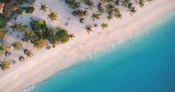 Aerial View of Sea Waves, Umbrellas, Green Palms on The Sandy Beach at Sunset. Summer 