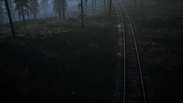 National Forest Recreation Area and the Fog with Railway alt