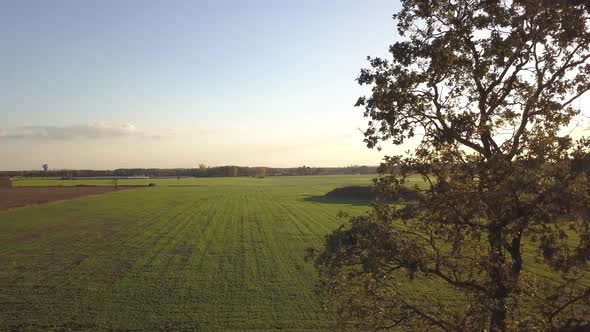 Aerial Cinematic Clip Drone Flying Over a Farm Field During Sunset alt