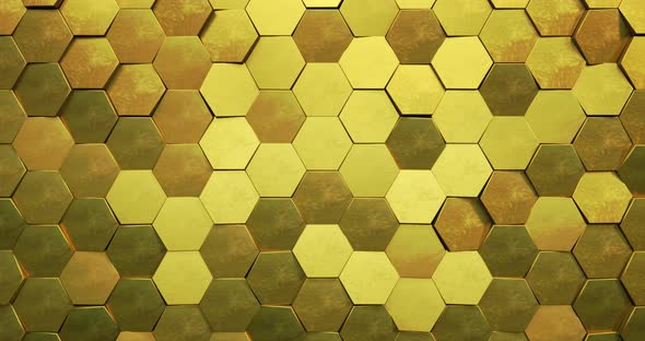 Gold Hexagon Loop