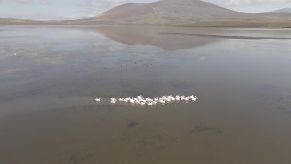 Aerial view of Madatapa lake in Javakheti National park. Georgia alt