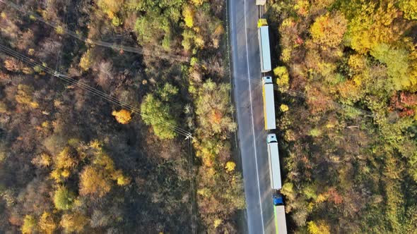 Travel Restrictions Borders Closed Traffic Jam with a Lot of Cars on Expressway on Transportation alt