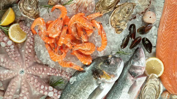 Super Slow Motion Shot of Falling Fresh Prawns Into Crushed Ice at 1000 Fps alt