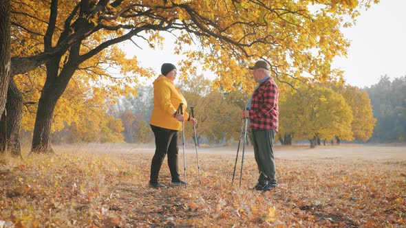 Seniors Couple Nordic Walking in Autumn Forest alt