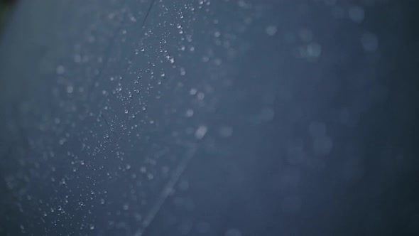 Closeup Shot of Raindrops Water Droplets on the Tent alt