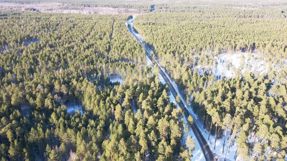 The Quadcopter Flies Over the Winter Pine Forest alt