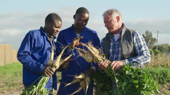Men working on farm alt