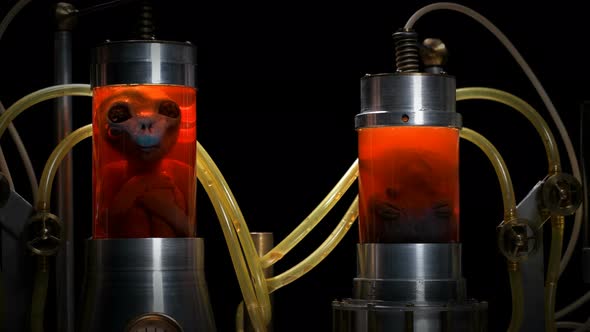 Aliens in Cylindrical Glass Vessels (Flasks), in a Liquid with Air Supply (Bubbles), Similar To a alt