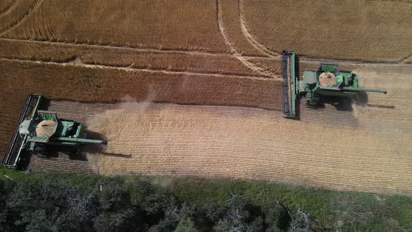 Two combine harvesters working a wheat field on a rural farm. Aerial top down view alt