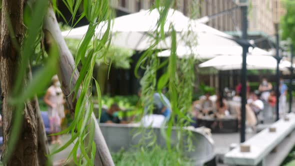 People in Medical Protective Face Masks in Restaurant Eat Breakfast Lunch alt
