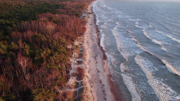 Large waves with white crests roll out on a sandy beach bordered by a dense forest illuminated by th alt