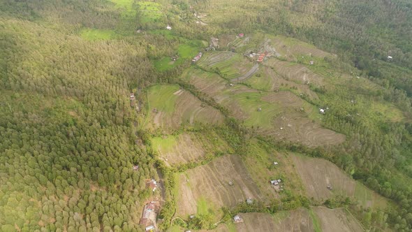 Tropical Landscape with Agricultural Land in Indonesia alt