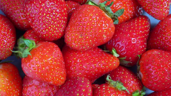Ripe Red Strawberries Rotates Closeup