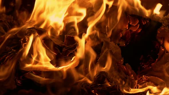 Pages Burning In Fire alt