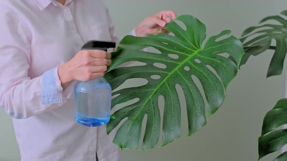 Woman Spraying Potted Plants with Water From a Spray Bottle