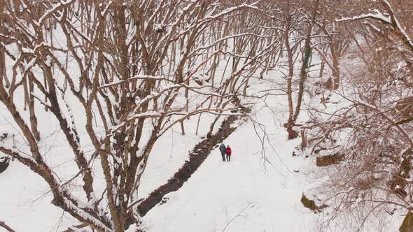 Couple Together Walking In Snowy Forest Together alt