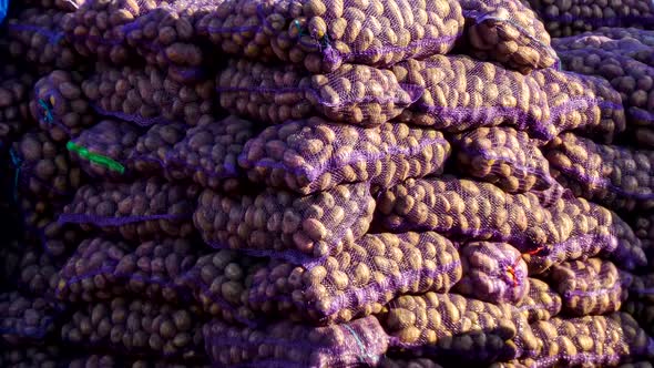 Sacks of potatoes. Stock of vegetables for the winter.