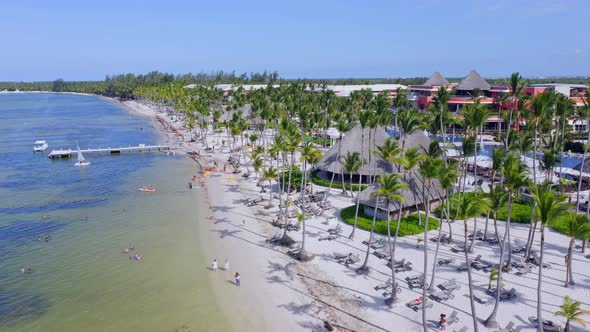 Perfect sandy beach lined with palm trees, summer day in Caribbean; aerial alt