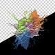 Color Splash - VideoHive Item for Sale
