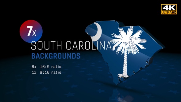 South Carolina State Election Backgrounds 4K - 7 Pack
