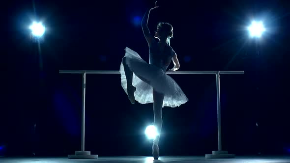 Beautiful Ballet Dancer on a Blue, Ballerina Is Wearing Tutu. Slow Motion alt