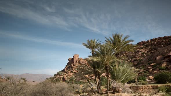 Tafroute Palms00 alt