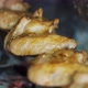 Fried Wings - VideoHive Item for Sale