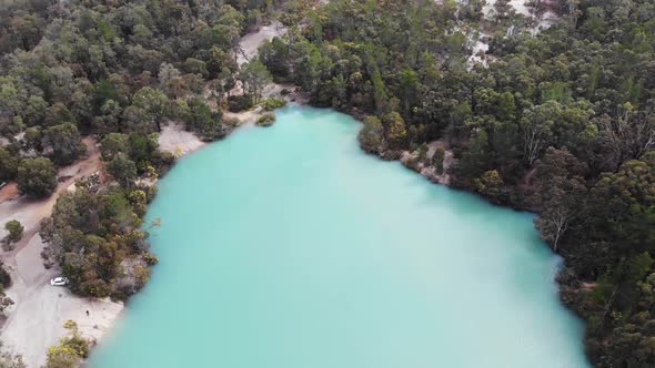 Aerial View of a River Forest alt