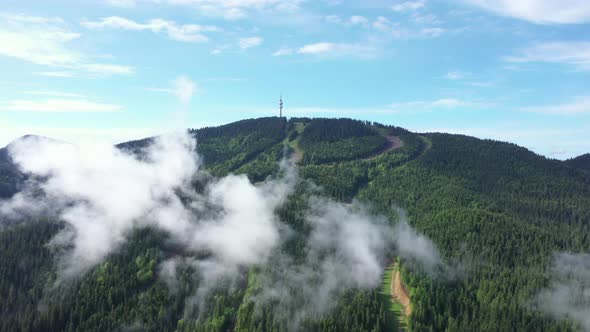 Beautiful Wild Green Forest and Clouds
