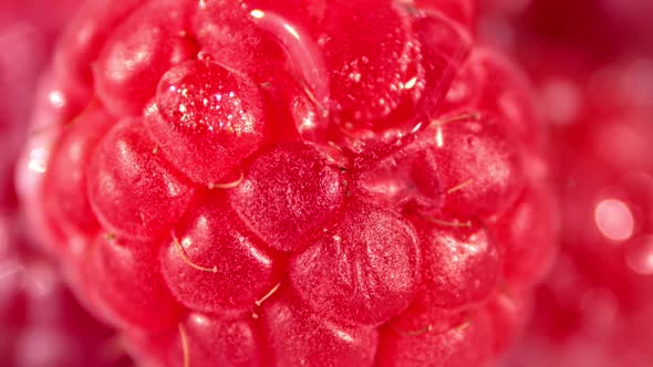 Extreme Closeup Big Drops of Transparent Pure Water on Raspberry Macro Shot alt