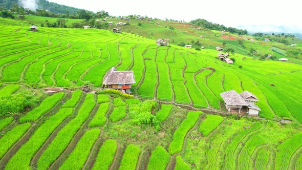 Aerial drone footage of rice terraces and farmer village at Pa pong piang alt