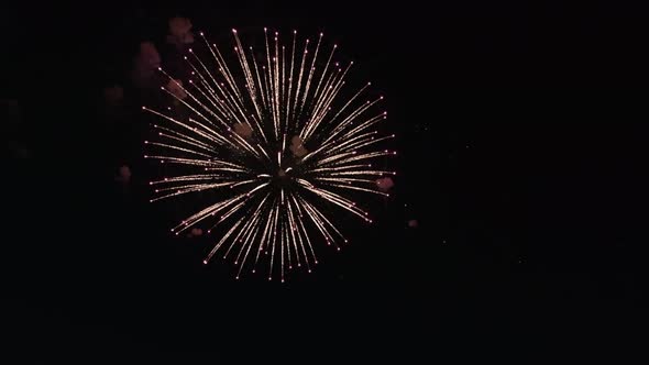 Real Firework Close Up on Deep Black Background Sky on Fireworks Festival Before New Year Party alt